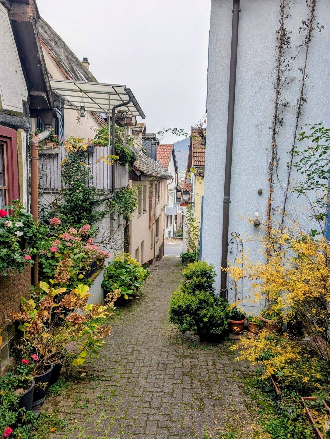 Haus – Freudenberg - Ansicht 3