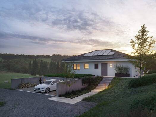 Haus zum Kauf 323.241 € 4 Zimmer 110 m² 730 m² Grundstück Steinau Steinau an der Straße 36396