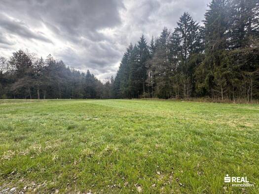 Land-/Forstwirtschaft zum Kauf 3.958 m² Grundstück Steegen 4722