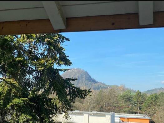 Wohnung zur Miete 980 € 3 Zimmer 72 m² Geschoss 3/3 frei ab 01.11.2026 Singen Singen (Hohentwiel) 78224