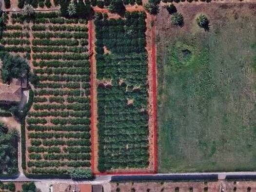 Acker-/Waldstück zum Kauf 215.000 € Centro Urbano Dénia 03700