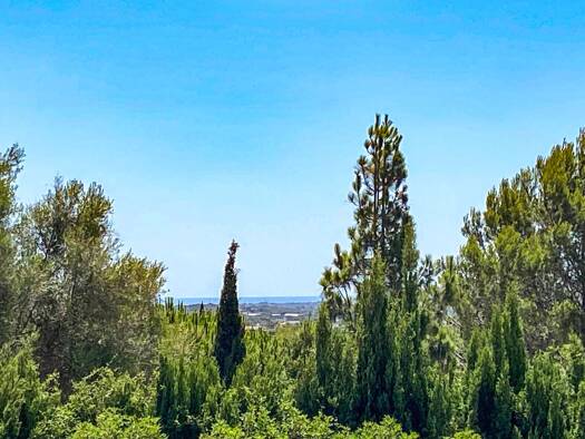 Grundstück zum Kauf provisionsfrei 539.000 € 15.752 m² Grundstück Manacor 07680