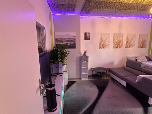 Terrassenwohnung zur Miete 600 € 1 Zimmer 24 m² frei ab 01.11.2026 Plänterwald Berlin 12437