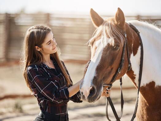 Gewerbegrundstück zum Kauf 8.600 m² Grundstück Gottmannsbühl Kressbronn am Bodensee 88079