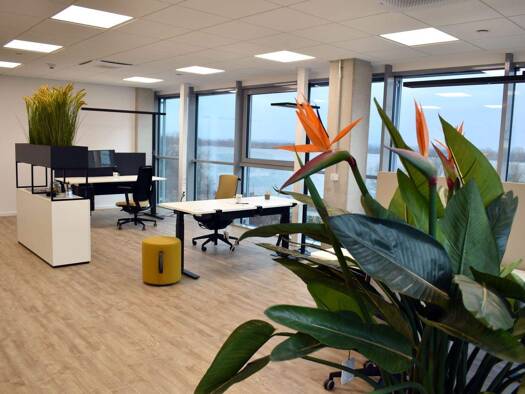 Bürofläche zur Miete 1.300 € 1 Zimmer 76,8 m² Bürofläche Wedel 22880