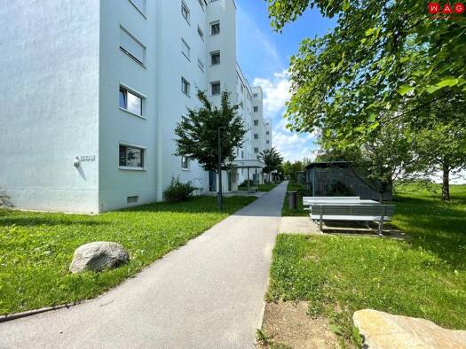 Wohnung zur Miete 360 € 1 Zimmer 40,9 m² Zibermayrstraße 69 Waldegg Linz 4020