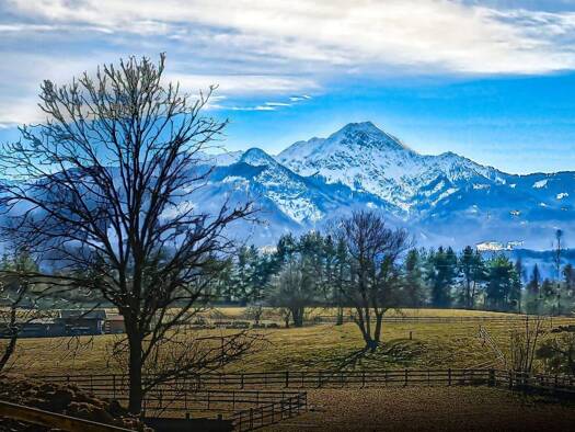 Grundstück zum Kauf 450.000 € 4.352 m² Grundstück Wernberg 9241