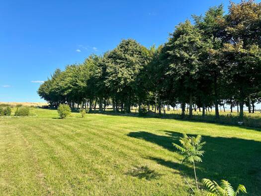 Einfamilienhaus zum Kauf 325.000 € 5 Zimmer 139 m² 4.100 m² Grundstück Neuer Weg 9 Neuhof Feldberger Seenlandschaft 17258