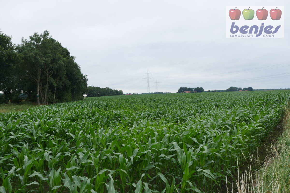 Landwirtschaftliche Fläche zum Kauf 83.862 m²<br/>Grundstück Wietzen Wietzen 31613