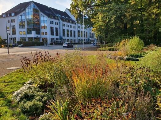 Bürofläche zur Miete provisionsfrei 936 € 117 m² Bürofläche Leipziger Straße 137 A Schloßchemnitz Chemnitz 09113