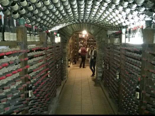 Gastronomie/Hotel zum Kauf 31.000.000 € 18.332 m² Grundstück Bertinoro, Forli-Cesena 47032