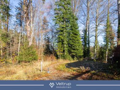 Grundstück zum Kauf 790.000 € 1.001 m² Grundstück Riederau Dießen am Ammersee / Riederau 86911
