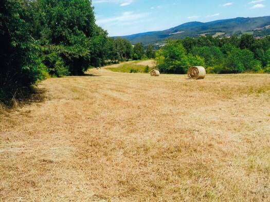 Freizeitgrundstück zum Kauf 25.000 € 4.316 m² Grundstück Viernau 98547