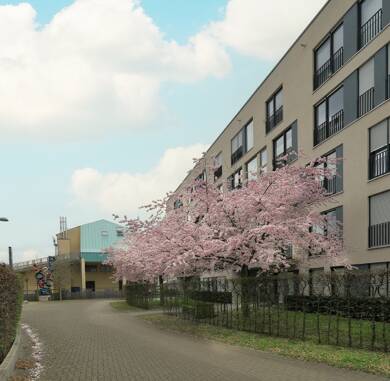 Wohnung zum Kauf 579.990 € 3 Zimmer 95 m² 4. Geschoss Niehl Köln 50735