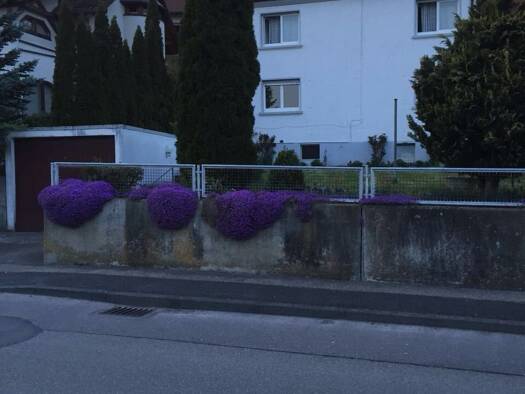 Wohnung zur Miete 850 € 3,5 Zimmer 90 m² EG frei ab sofort Schelklingen Schelklingen 89601
