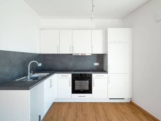 Wohnung zur Miete - Erstbezug 1.000 € 2 Zimmer 43,5 m² 2. Geschoss frei ab 15.09.2026 Steilshooper Straße 256 Steilshoop Wandsbek 22309