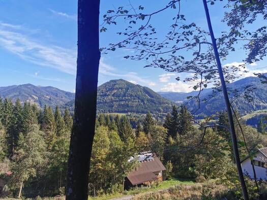 Grundstück zum Kauf 225.000 € 1.676 m² Grundstück Spital am Semmering 8685
