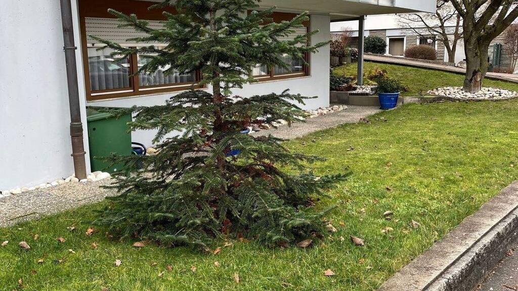 Terrassenwohnung zum Kauf 159.000 € 2 Zimmer 41 m² 3 Geschosse frei ab sofort Hegnach Waiblingen 71334