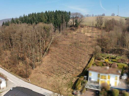 Grundstück zum Kauf 390.000 € 3.956 m² Grundstück Irenental 3011
