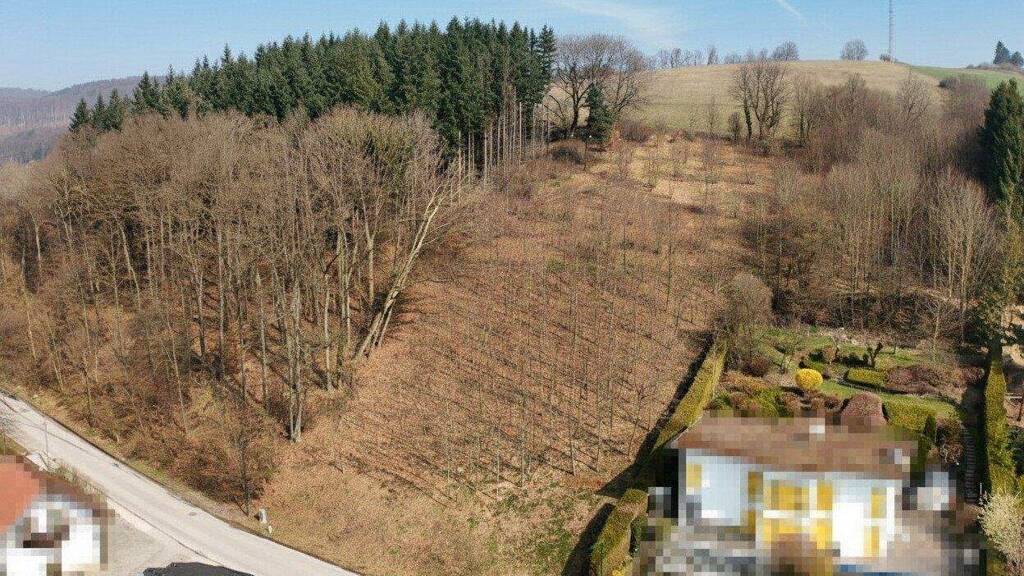 Grundstück zum Kauf 390.000 € 3.956 m² Grundstück Irenental 3011