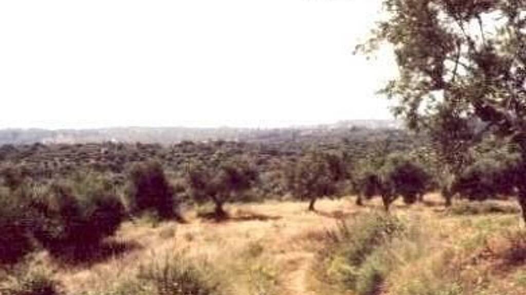 Grundstück zum Kauf 423.000 € 30.000 m² Grundstück Kalamata neu