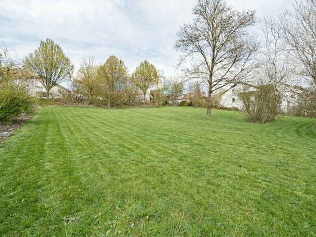Grundstück zum Kauf 319.000 € 501 m² Grundstück Laupheim Laupheim 88471