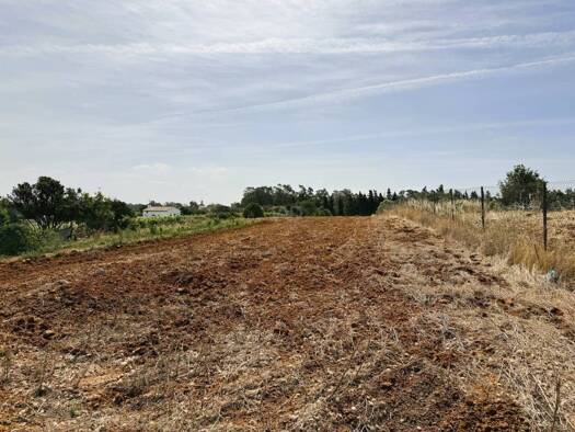 Acker-/Waldstück zum Kauf 199.000 € Chiclana de la Frontera 11130