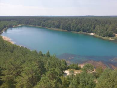Freizeitgrundstück zur Versteigerung provisionsfrei als Kapitalanlage geeignet 85.000 € 144.044 m² Grundstück Aussichtsturm Felixsee Reuthen Felixsee 03130