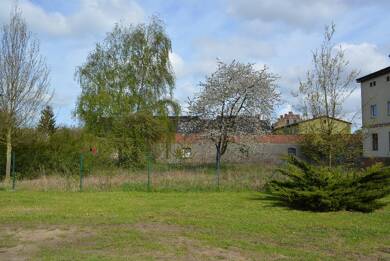 Grundstück zum Kauf 15.000 € 1.562 m² Grundstück Maasdorf Südliches Anhalt 06388