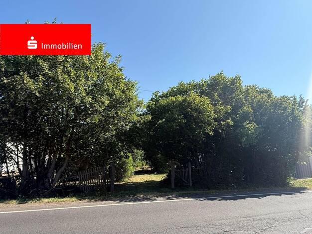 Grundstück zum Kauf 75.000 € 3.190 m² Grundstück frei ab sofort Waltershausen Waltershausen 99880