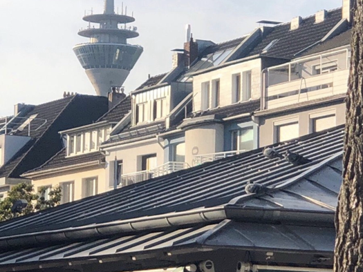 Wohnung zur Miete 790 € 2,5 Zimmer 54 m² Geschoss 4/5 frei ab sofort Unterbilk Düsseldorf 40217