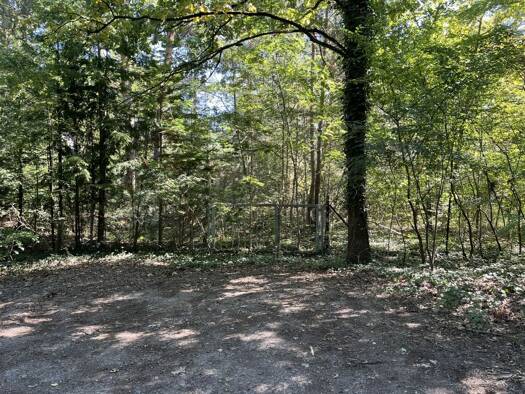 Grundstück zum Kauf 392.700 € 714 m² Grundstück Stolper Weg o. Nr. Güterfelde Stahnsdorf 14532