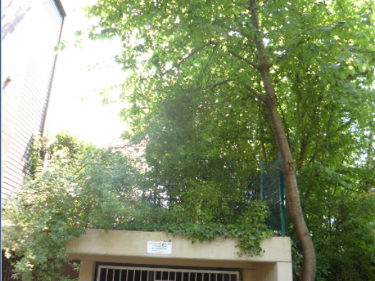Tiefgaragenstellplatz zur Miete 62,50 € Garagen/Villacher Weg 1-3 Baumberg Monheim am Rhein 40789