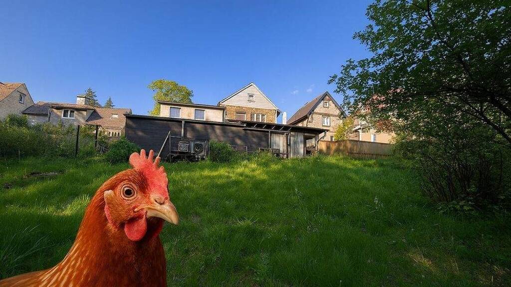 Mehrfamilienhaus zum Kauf 109.000 € 6 Zimmer 133 m² 1.148 m² Grundstück Zell 95239