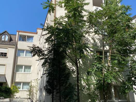 Wohnung zur Miete 1.890 € 3 Zimmer 79 m² Geschoss EG/4 frei ab sofort Gabelsbergerstraße 34 Maxvorstadt München 80333