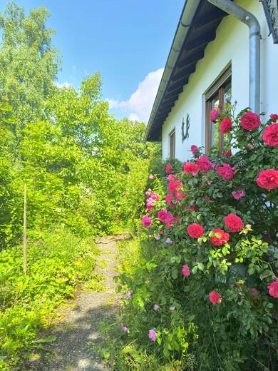 Bungalow zur Miete 800 € 6 Zimmer 160 m² 800 m² Grundstück frei ab 01.09.2025 Am Frauenwald 5 Münchwald 55595
