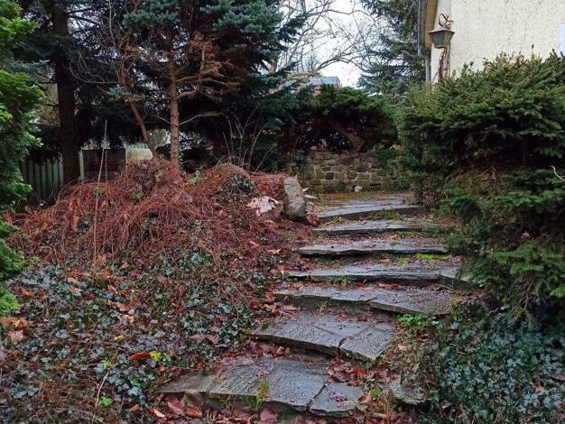 Einfamilienhaus zum Kauf 525.000 € 4 Zimmer 100 m² 909 m² Grundstück Dahlewitz Blankenfelde-Mahlow 15827