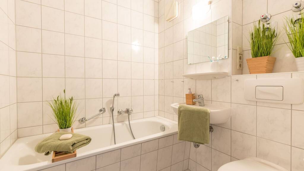 Studio zur Miete - Erstbezug 204 € 1 Zimmer 34,1 m² 3. Geschoss frei ab sofort Grüner Weg 1 Crimmitschau 08451