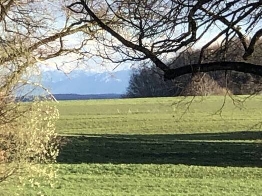 Wohnung zum Kauf provisionsfrei 4 Zimmer 110 m² EG frei ab sofort Bad Wörishofen 86825