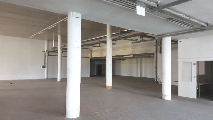 Freifläche zur Miete 6,50 € 700 m²<br/>Lagerfläche Rothenburgsort Hamburg 20539