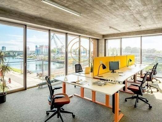 Bürofläche zur Miete provisionsfrei 5.000 m² Bürofläche teilbar ab 1 m² Jungbusch Mannheim 68159