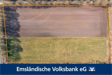 Land-/Forstwirtschaft zum Kauf 25.583 m² Grundstück Oberlangen-Moor Oberlangen 49779