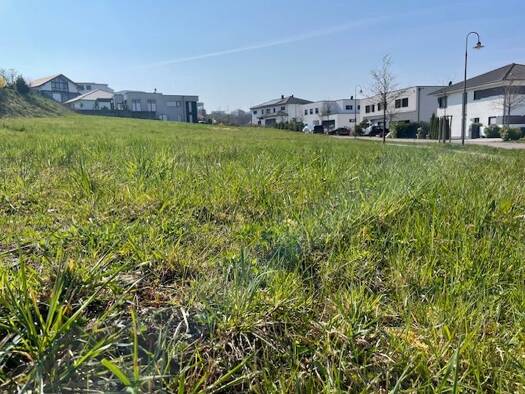 Grundstück zum Kauf provisionsfrei 250.000 € 619 m² Grundstück Brüsseler Allee 34 Wincheringen 54457