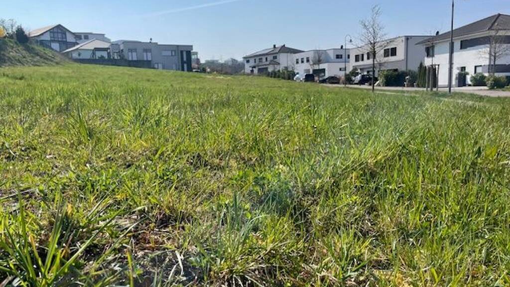 Grundstück zum Kauf provisionsfrei 250.000 € 619 m² Grundstück Brüsseler Allee 34 Wincheringen 54457