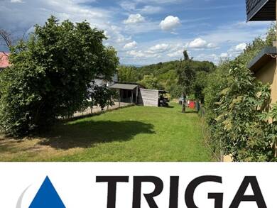 Einfamilienhaus zum Kauf 76.000 € 4 Zimmer 115 m² 650 m² Grundstück Friedrichslohra Großlohra / Friedrichslohra 99759