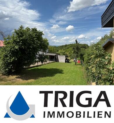 Einfamilienhaus zum Kauf 76.000 € 4 Zimmer 115 m² 650 m² Grundstück Friedrichslohra Großlohra / Friedrichslohra 99759