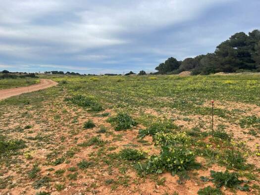 Wohn- und Gewerbegrundstück zum Kauf 890.000 € Formentera 07872