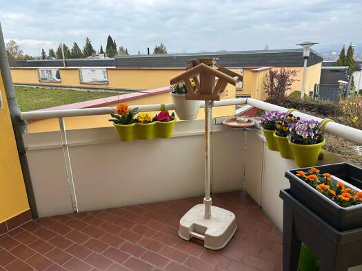 Wohnung zum Kauf 150.000 € 5 Zimmer 154 m² frei ab sofort Marienthal Zwickau 08056