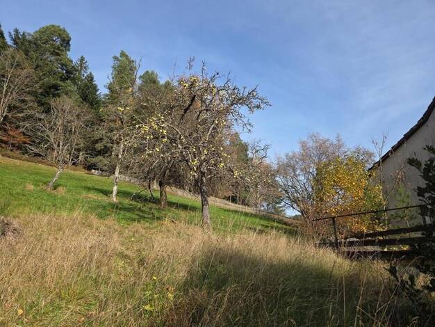 Grundstück zum Kauf provisionsfrei 60.970 € 2.826 m² Grundstück Enzklösterle 75337