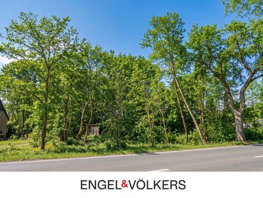 Grundstück zum Kauf 267.000 € 1.138 m² Grundstück Mühlenbeck Mühlenbecker Land 16567
